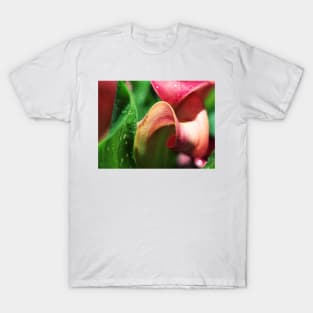 Arum Abstract T-Shirt